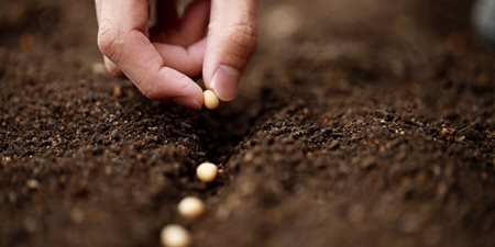 article on sowing and reaping